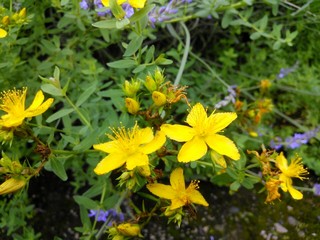 IMG_20150622_150830.jpg