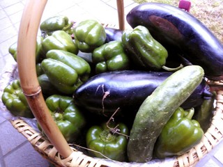 IMG_20150716_003218.jpg