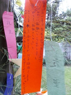 IMG_20150807_182130.jpg