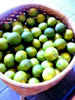 IMG_20151104_180349.jpg