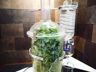 IMG_20210824_195907_674.jpg