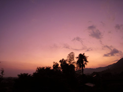 IMG_3620.jpg