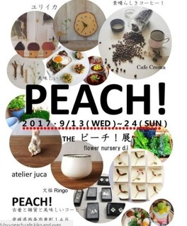 PEACHE5B195-thumbnail2.jpg