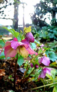 _20160220_175401.JPG