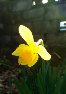 _20160312_153521.JPG