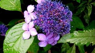 _20160529_154155.JPG