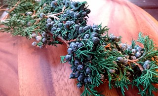 _20170217_145956.JPG
