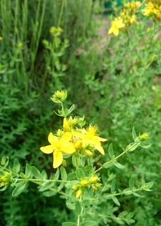 _20170616_172229.JPG
