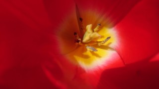 _20200406_134354.JPG